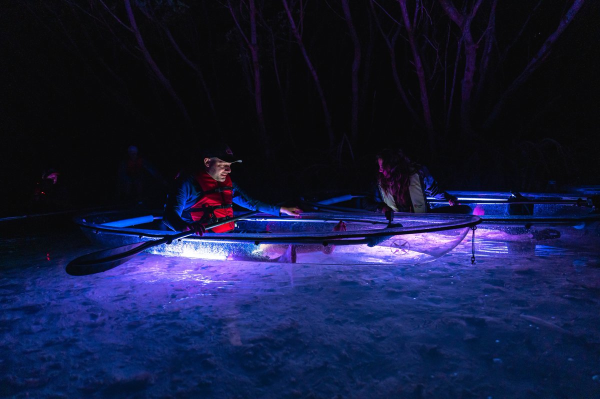 VisitSPC's tweet photo. Paddling amongst the mangroves at night in glowing kayaks is the adventure you need in your life! Come be amazed on an adventurous sunset paddle to Shell Key Preserve with our friends at @GetUpAndGoKayak Tampa Bay! π£ββοΈπ
#ShellKeyPreserve https://t.co/qHdPGr4zk9 https://t.co/k7Cabj7Oq7