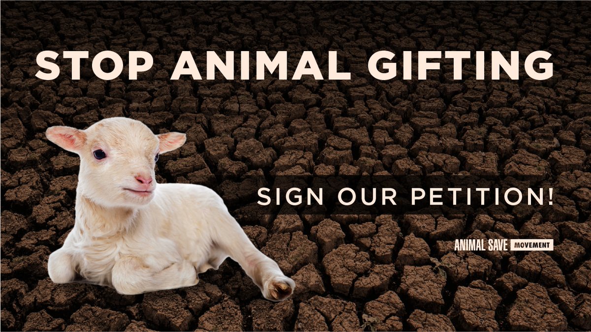 BClimateSave's tweet image. Please sign and share the following petition calling for an end to gifting farmed animals.
drove.com/campaign/61a52…?