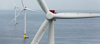 Doreen Harris tweet media