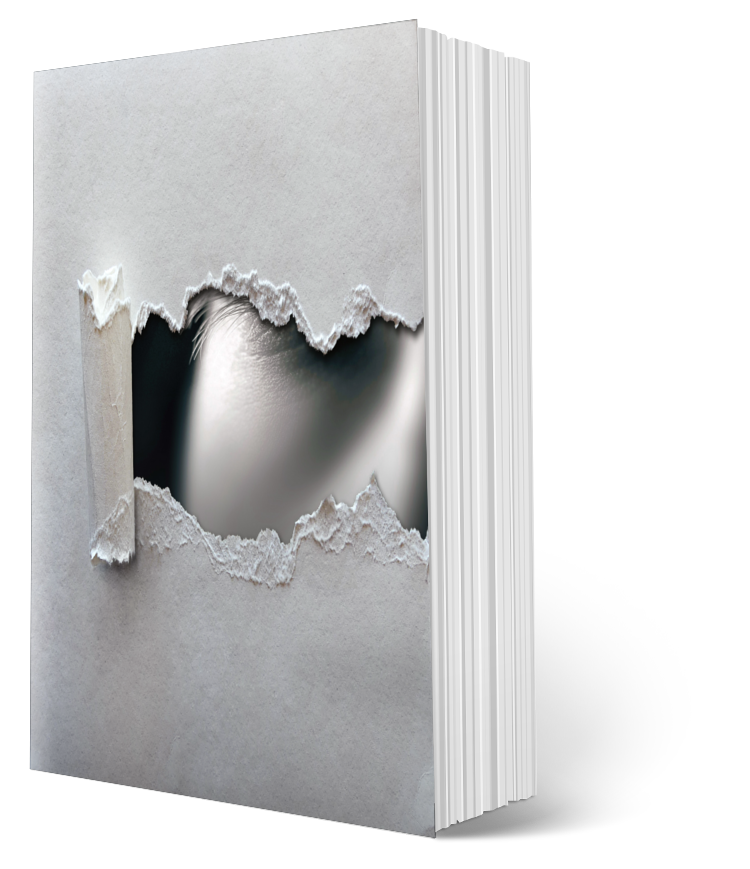 Book Cover Reveal and New Artwork! - mailchi.mp/e2c6f1aae086/b…