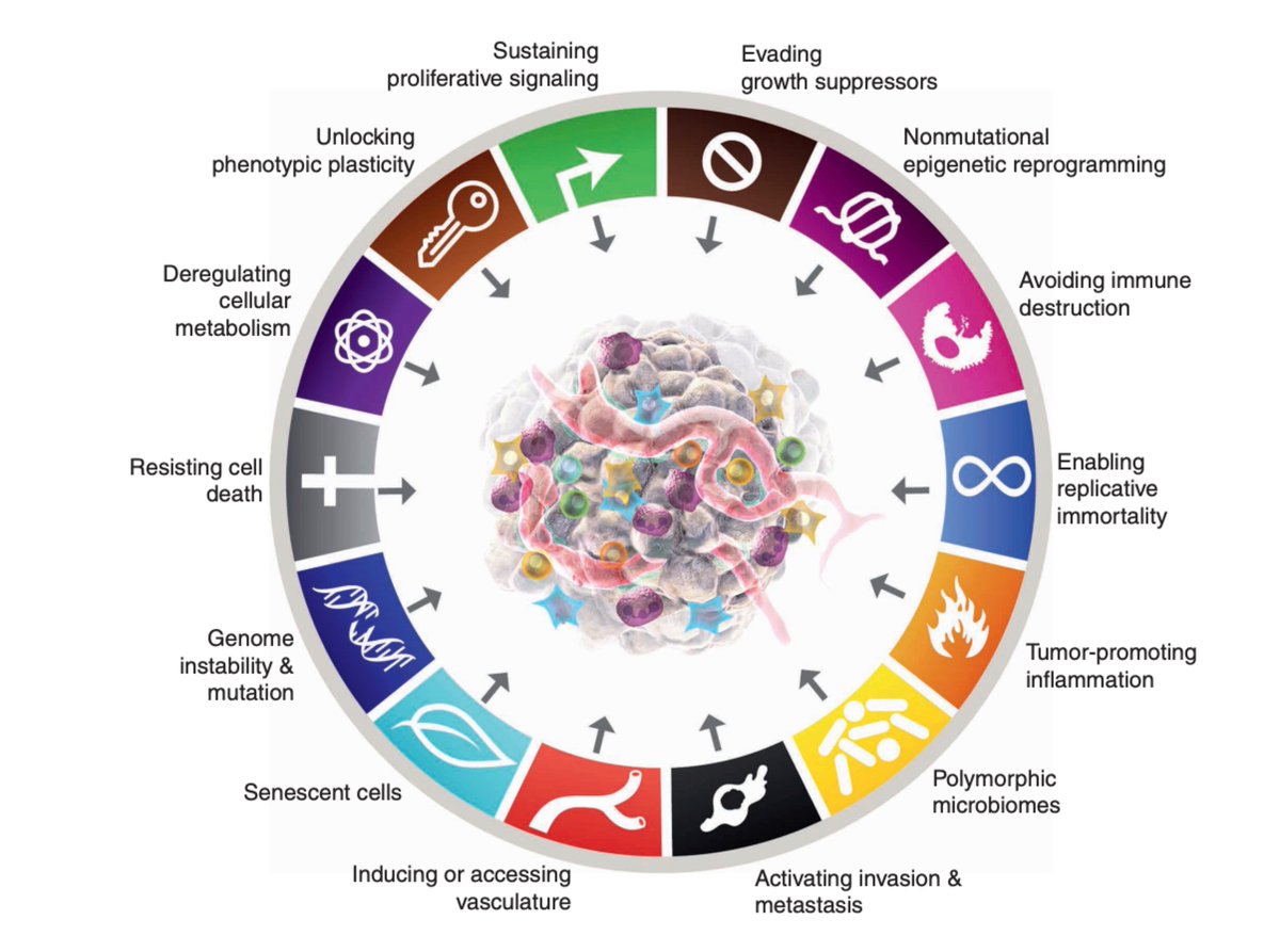 GeneRegLab's tweet photo. 🔥🔥🔥The third edition of a classic. 🦀🦀🦀"Hallmarks of Cancer, New Dimensions" (2022 edition) by Doug Hanahan just hot off the press 🔥🔥🔥in @CD_AACR 

Link: 👉 https://t.co/dgIXpcBca9 https://t.co/uJV1EH9paK