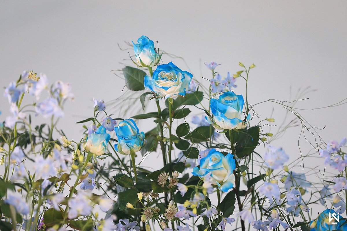 우주ｿﾗ Haneul Rui Twitter