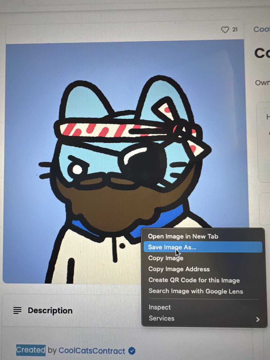 wen_moon_kid's tweet photo. PSA:  Be vigilant about your jpegs.  Never know whose out there trying to swipe, even your friends.  Caught @RobbieZ_III in the act yesterday!  #hideyourcats #wltc #coolcats @coolcatsnft https://t.co/dLWuWS0DNZ