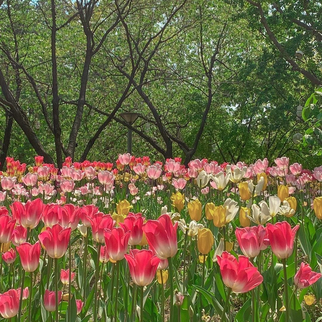 itfeelquotes's tweet photo. It takes courage to bloom.

‘จะเบ่งบานได้ ต้องใช้ความกล้านะ’ https://t.co/ryWTcVkCVv