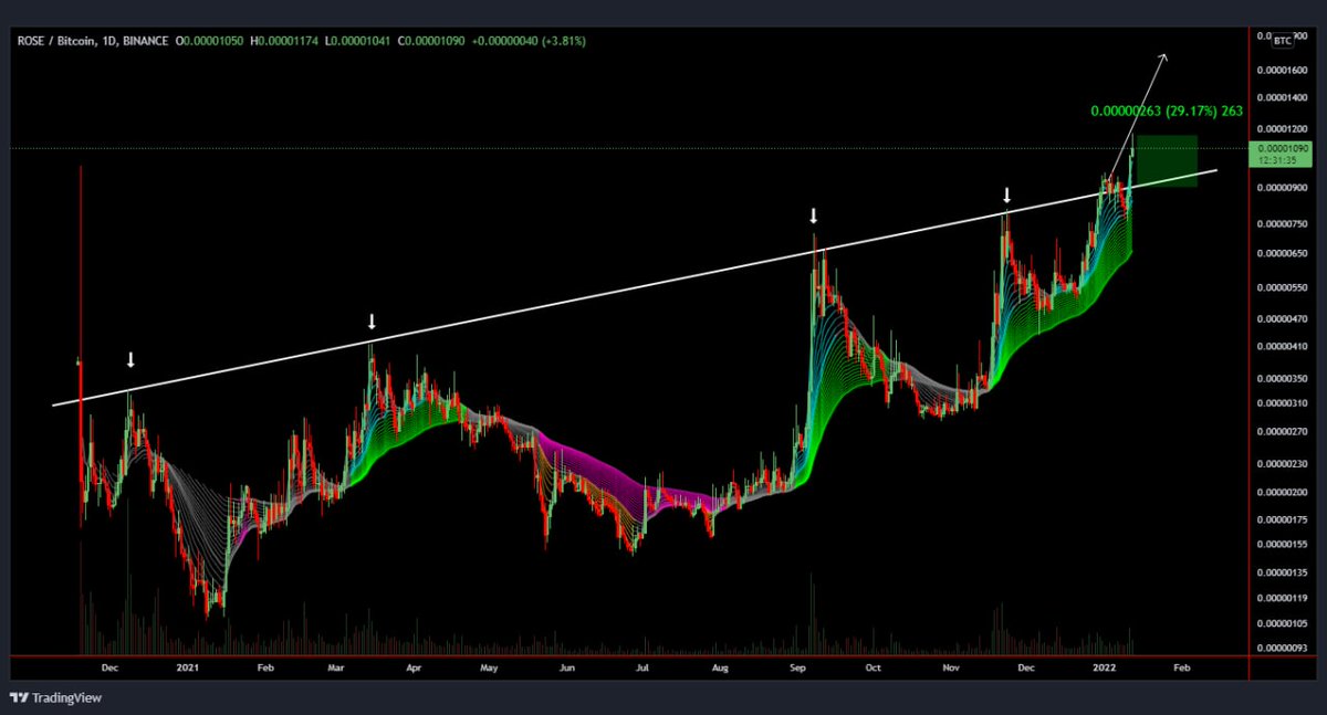 VIPCryptoSigns's tweet photo. #ROSE/BTC +29% profit gained at the current moment😎 https://t.co/aGcl0Fo6Uo