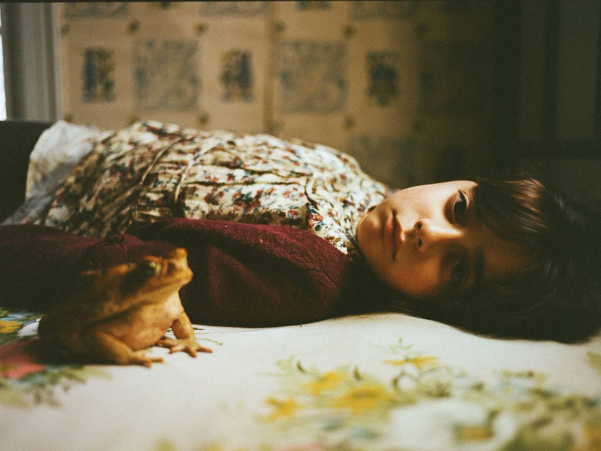 ShortoftheWeek's tweet photo. Set in a foster home with no rules, @vriveraster's Lucia follows a 7yr-old outcast and her pet toad as they wait for a ride that isn't coming.

https://t.co/wGjNq6keRv https://t.co/TJvltWDJVT