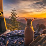 Photo by Preparing For SHTF! (@prepforshtf)