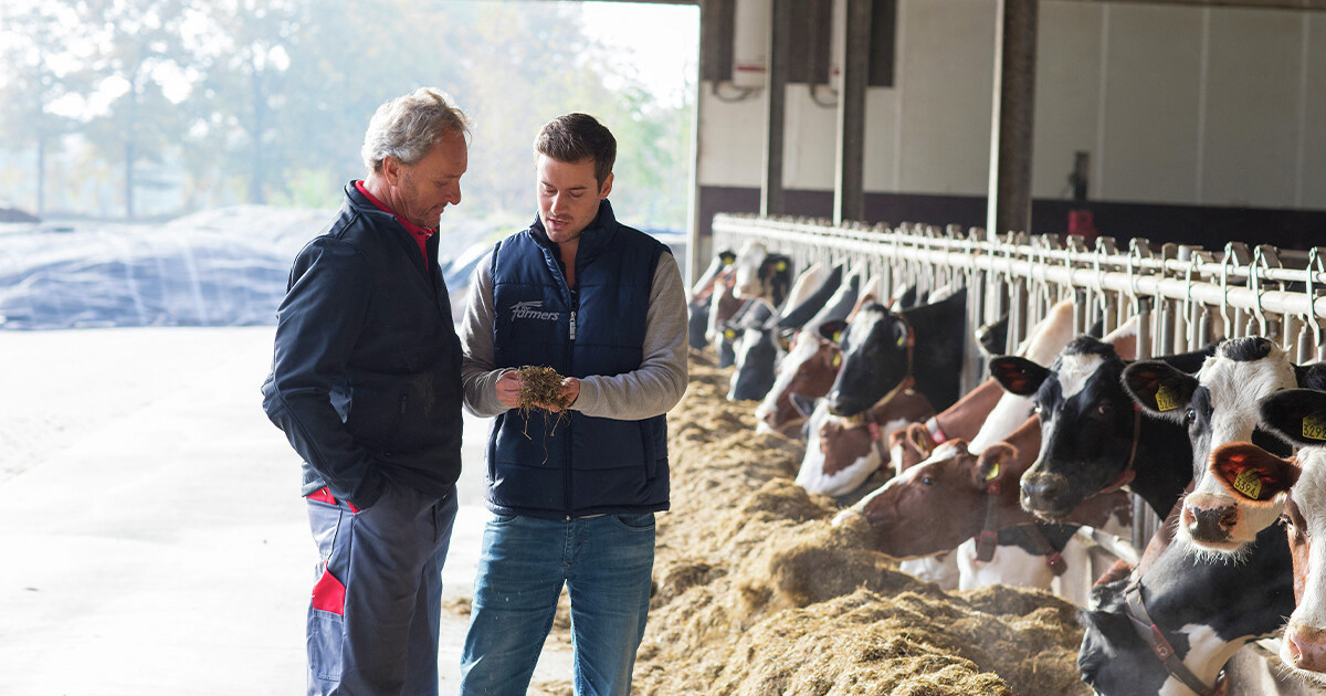 Gezocht: #melkveespecialist regio Oost-NL. Commercieel talent en gedreven sparringpartner die onze klanten met het juiste advies helpt hun doelen te realiseren. Check de #vacature ➡️ bit.ly/3HWcCl8
#forthefutureoffarming #werkenbijforfarmers #nieuwebaan #nieuweuitdaging