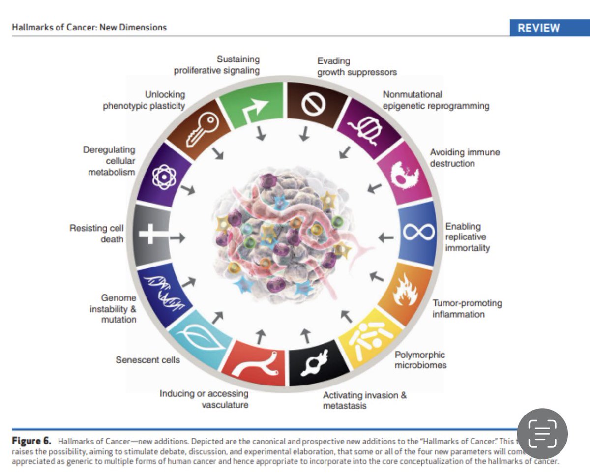 Toni Choueiri, MD (@drchoueiri) on Twitter photo A must read paper: The hallmarks of cancer updated concept because #cancer is really complex! <a href="/CD_AACR/">Cancer Discovery</a>
cancerdiscovery.aacrjournals.org/content/12/1/31
<a href="/OncoAlert/">OncoAlert</a> <a href="/AACR/">AACR</a> <a href="/DanaFarber_GU/">Dana-Farber Lank Center for Genitourinary Oncology</a>
cancerdiscovery.aacrjournals.org/content/12/1/31 A must read paper: The hallmarks of cancer updated concept because #cancer is really complex! <a href="/CD_AACR/">Cancer Discovery</a>
cancerdiscovery.aacrjournals.org/content/12/1/31
<a href="/OncoAlert/">OncoAlert</a> <a href="/AACR/">AACR</a> <a href="/DanaFarber_GU/">Dana-Farber Lank Center for Genitourinary Oncology</a>
cancerdiscovery.aacrjournals.org/content/12/1/31