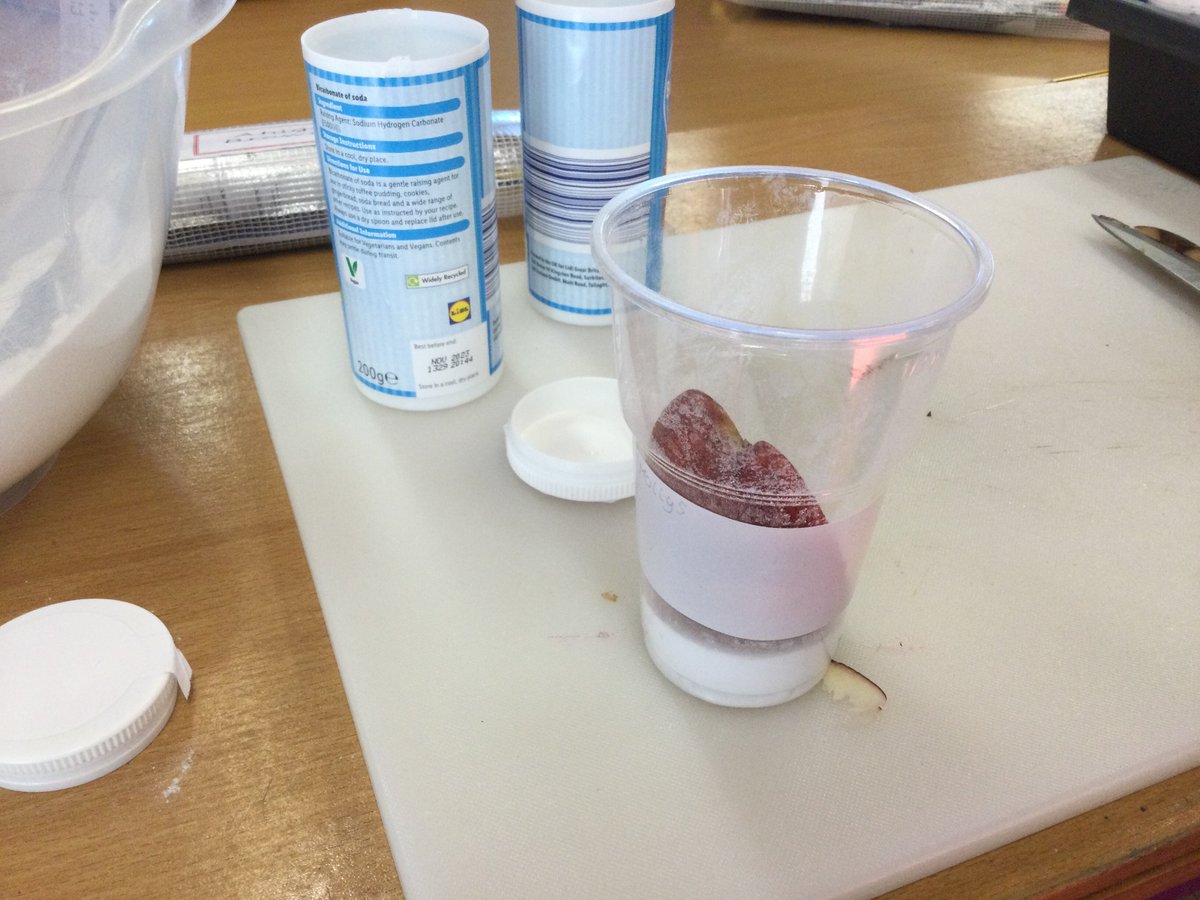 Red Class have been learning all about mummification this week.  We’ve had a go ourselves, using apples 🍎.  In a few weeks time we’re going to see what effect our version of natron has had on our mummies.  Watch this space! Thanks to <a href="/LeedsCityMuseum/">Leeds City Museum</a> for the instructions!