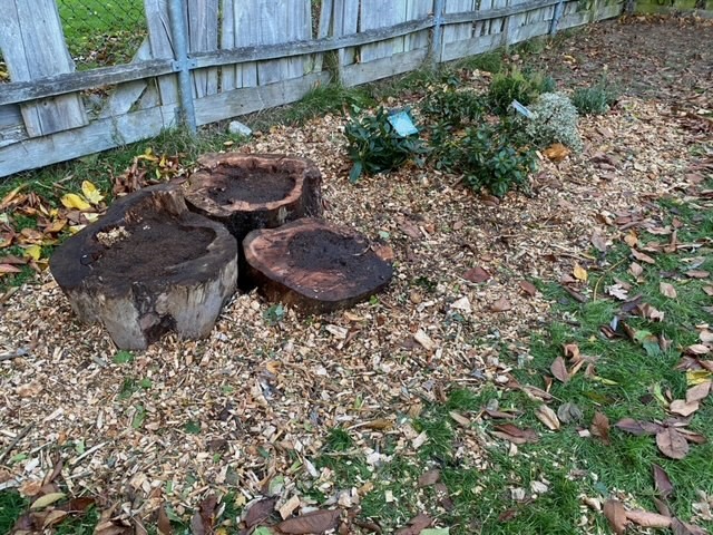 How can housing associations re-purpose disused land for the benefit of the community? 🌱  

We've been working with <a href="/SouthamptonCC/">SouthamptonCC</a>, <a href="/green_earthplan/">Green Earth Plan CIC</a> and the local community to do just that. 

Find out how here: bit.ly/3dYe9tW #ukhousing