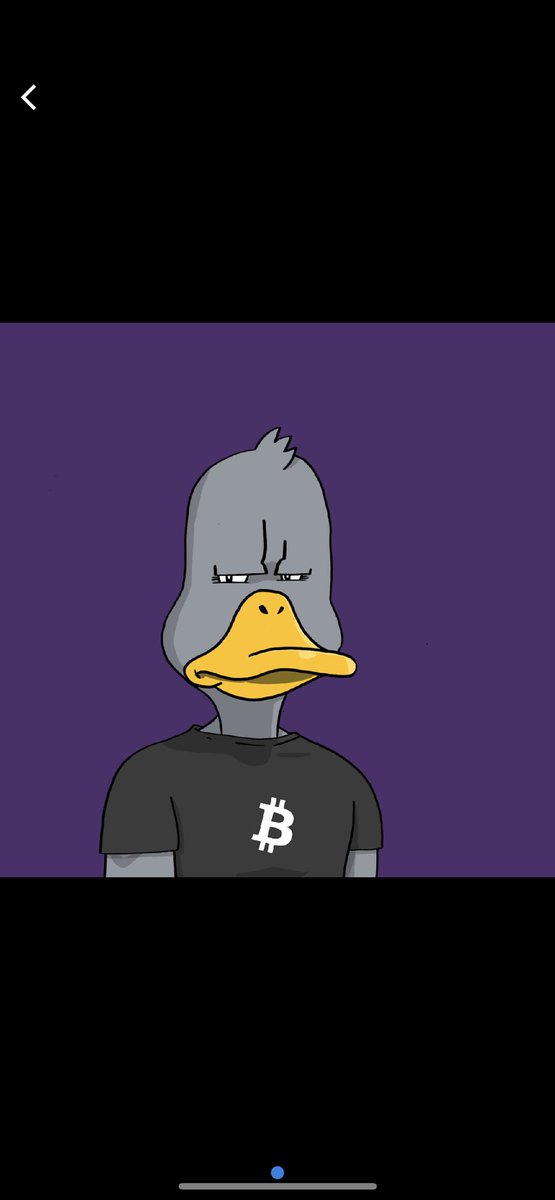 Cammacrypto's tweet photo. @steveb_crypto @noncoducks @DailaMerced Welcome to the pond #DucksFlyTogether https://t.co/XCndxgKLmq