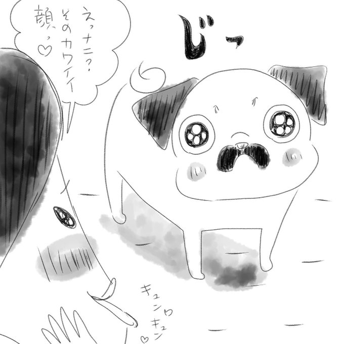 まぁいつも可愛いんですけど 