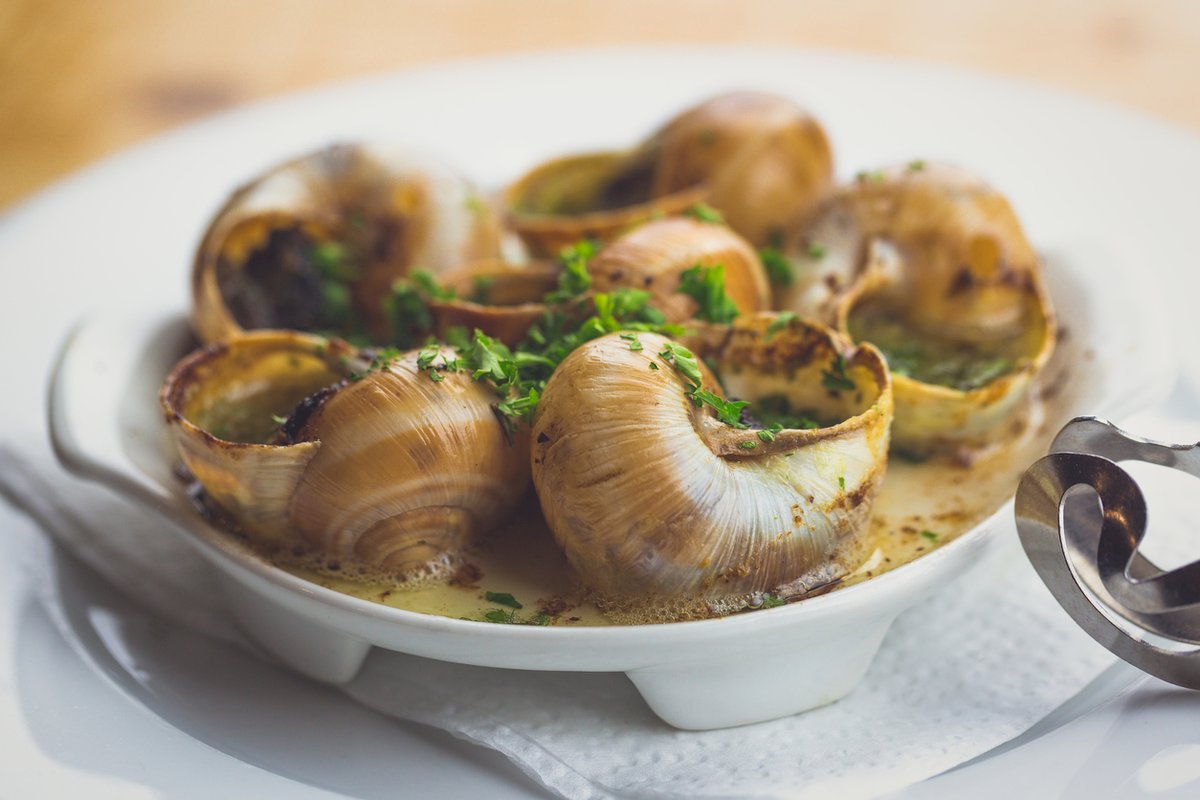 Escargot, anyone? Garden snails are closely related to lobsters, and California’s most invasive species was actually imported as food. (1/2) bit.ly/3G9LRZX