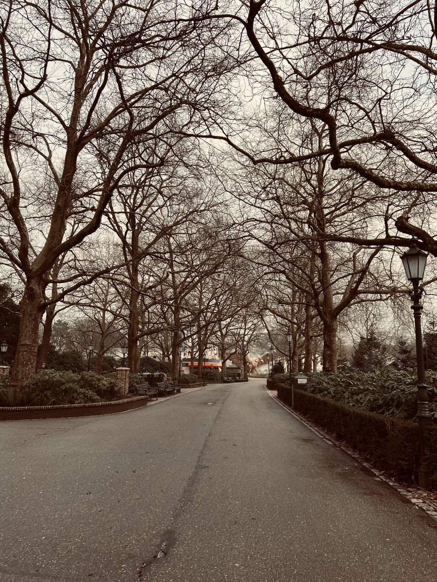Michieldewt's tweet image. Sirocco en Archipel vast mogen beleven vanmiddag en wat was het tof! Goedgekeurd ✨🌊⛵️. Meteen ook even heerlijk een rondje gewandeld #blijfbetoverd #efteling