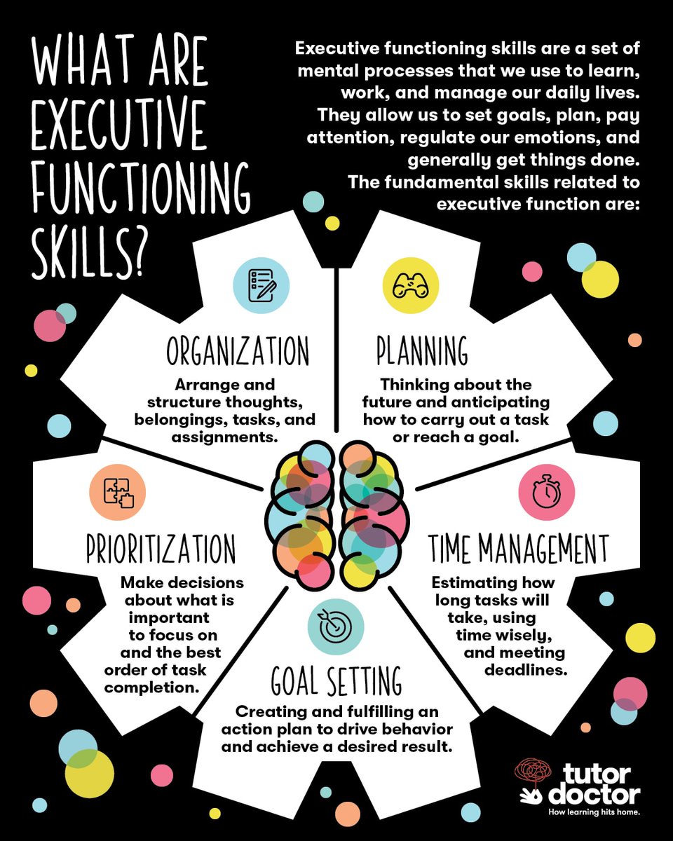 Executive skills are developed throughout childhood, adolescence, and early adulthood and they are integral to being a well rounded and productive adult. #infographic #executivefunctioning #executivefunctioningskills