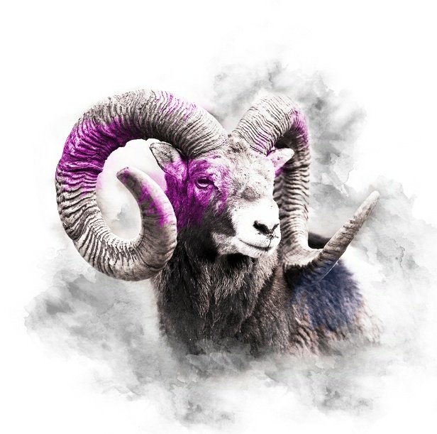 ReddyGives's tweet photo. ๐คฉ#ArtMcArty #NFTGiveaway๐คฉ
Last chance to breed Baby EthAliens is by Jan 15th!
2 #EthAliens + 300 $Star = Baby #EthAlien
Win 1 #AnimalKingdomCollection #PinkSeries RAM (360$ worth) !
1โฃ Follow @ethaliensnft,@ArtMcArty & me
2โฃ RT, Like & Tag 4
๐งญ48 hrs๐ฅ
#NFTs #NFTArt https://t.co/91wIPR534U