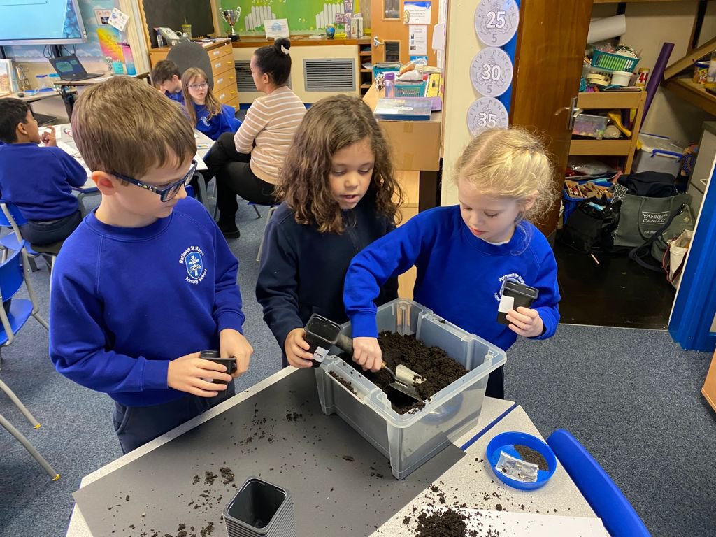 rothwellstmarys's tweet photo. Y2 seed planting enquiry. They will be observing closely to find out which are the best conditions for plants to grow in. #scientistsoftwitter #edutwitter #STEM https://t.co/TYNFL79P2m