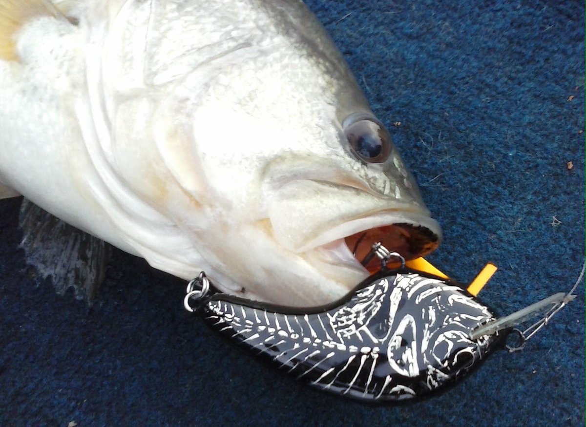 CustomRyans's tweet image. 