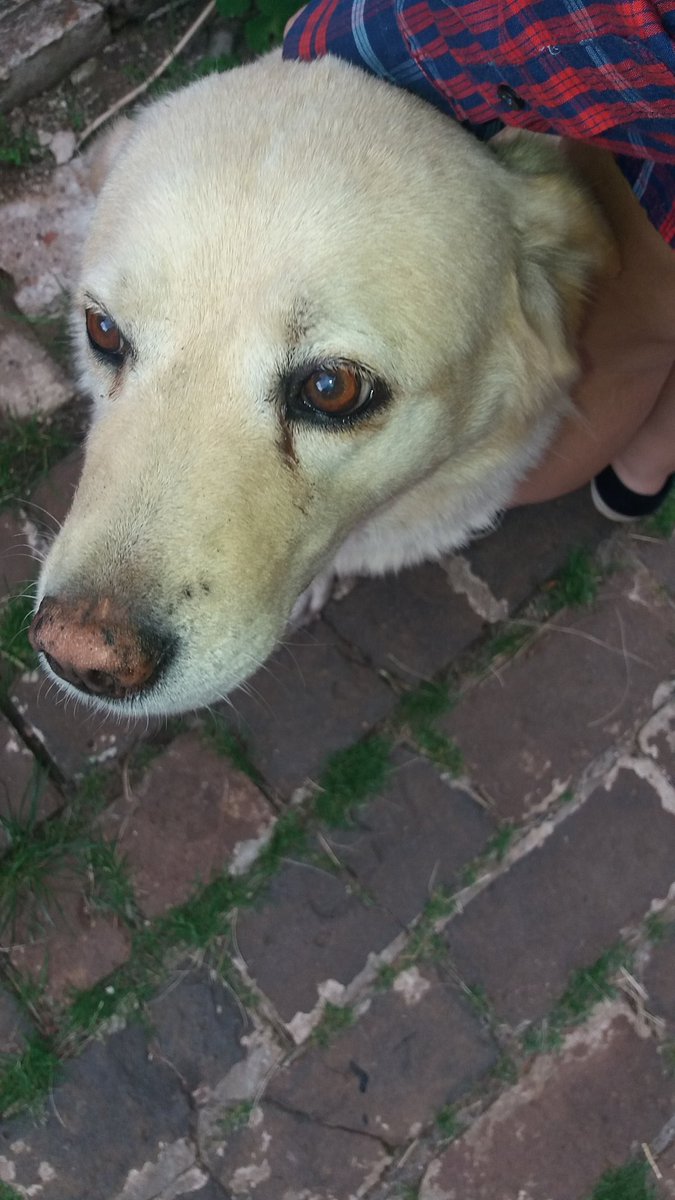 Susan Angela C.♡Ω🏳️‍🌈 tweet media