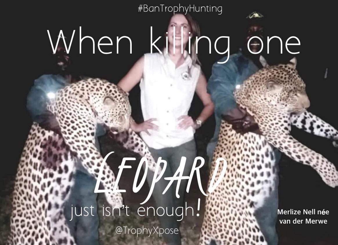 TrophyXpose's tweet photo. With all the pressure on wildlife how can trophy hunting be sustainable? Wildlife shouldn’t be subject to the greed &amp; ego of those who enjoy killing for fun!😒
🙏🏼RT
#BanTrophyHunting
@AgainstHunting @Angelux1111 @SARA2001NOOR @LiftForever67 @PhaedraXTeddy @hiking_somwher @jetfury https://t.co/35z4MIMn0g