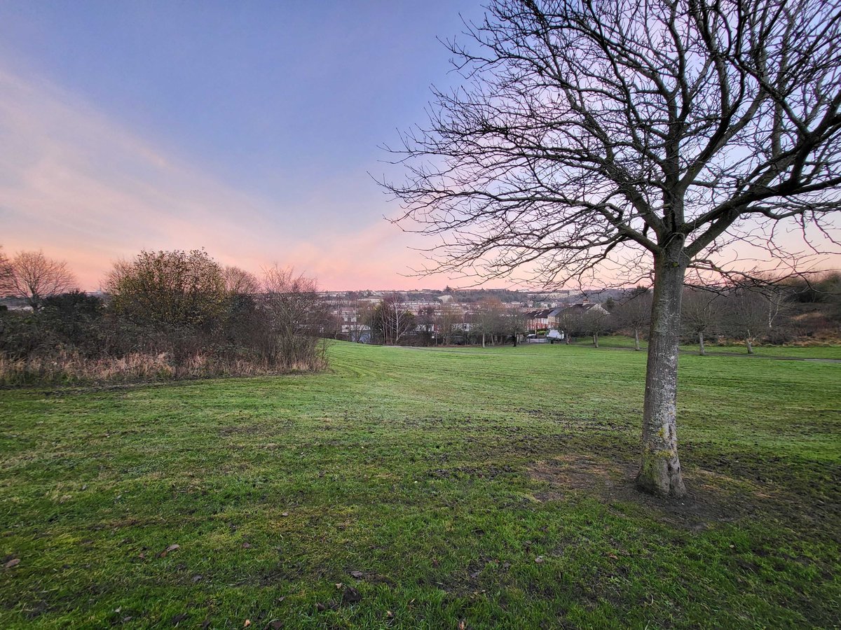 FriendsofLMG's tweet photo. 🌄 Beautiful sunset sky over #Chatham's Luton Millennium Green this afternoon!

🌳 Our park is the perfect spot for a breath of fresh air and a winter stroll.

📍 You can find our lovely park at the top of Albany Road.

@MugsForum https://t.co/DSe3sR2cGl