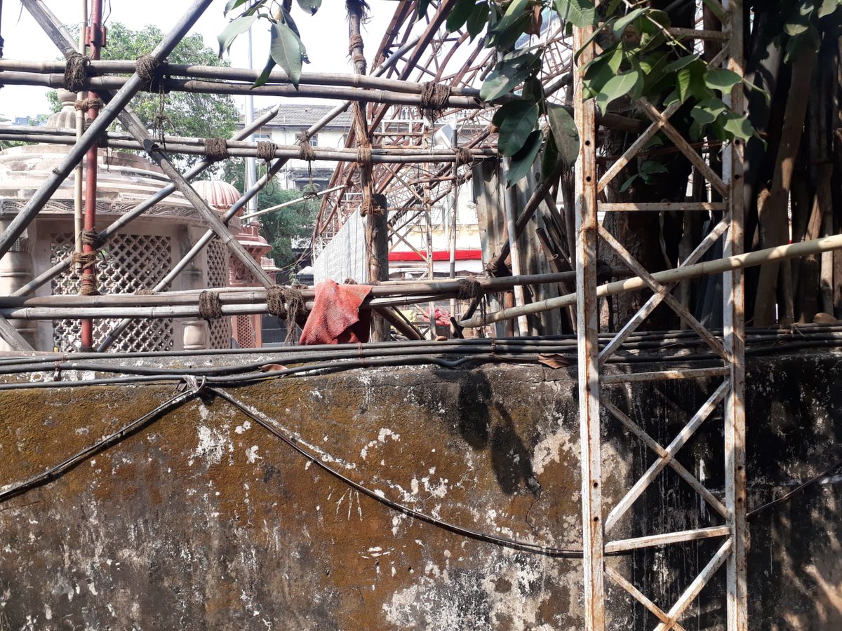 ameetkothari's tweet photo. @mybmc this is to bring to your notice that a small yet old tree (jambhul tree) in the premises of Laxminarayan Temple, Madhavbaug Charities, CP Tank, Charni Road is on the verge of being cut down due to a wall being built. Would like to bring it to your notice and request you1/2 https://t.co/Y1dBqPKHWf