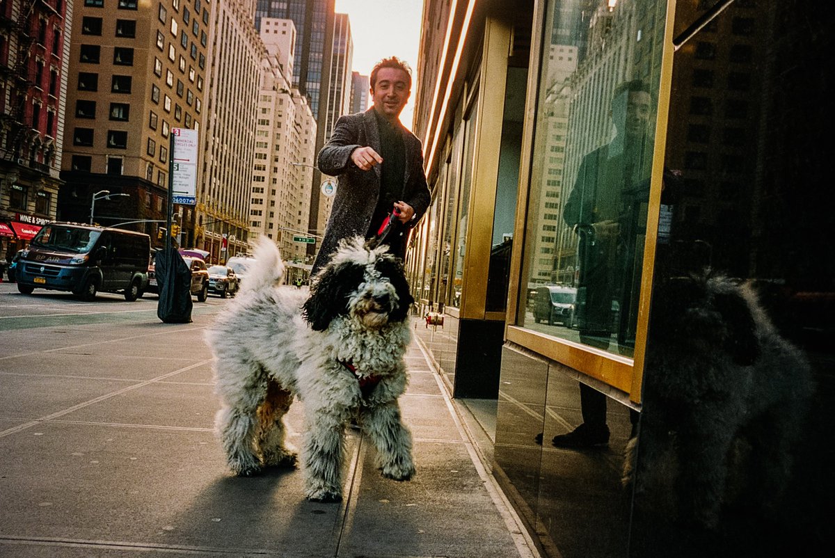 mickeyjspear's tweet image. 