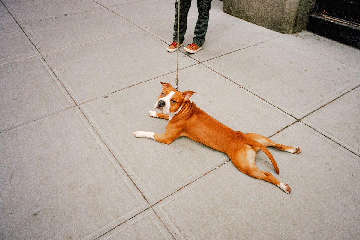 mickeyjspear's tweet image. 