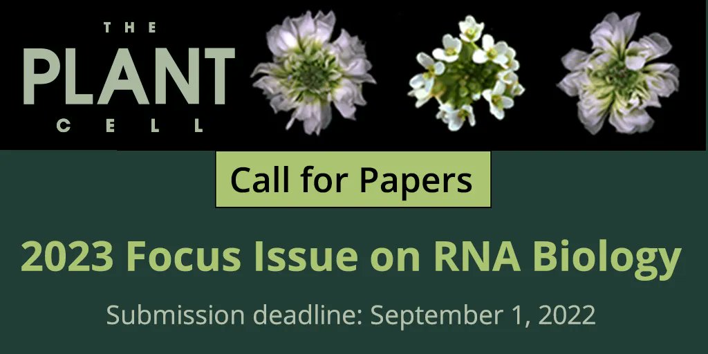 The Plant Cell <a href="/ThePlantCell/">The Plant Cell</a> is seeking manuscripts for our upcoming Focus Issue on RNA Biology. Deadline for manuscripts is September 1, 2022. buff.ly/3qcz57p