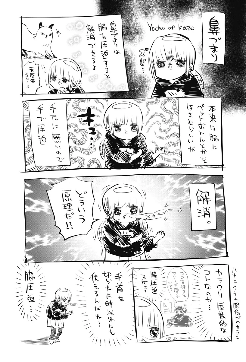 どういう原理かは解らないが、「鼻づまり」を解消する方法。