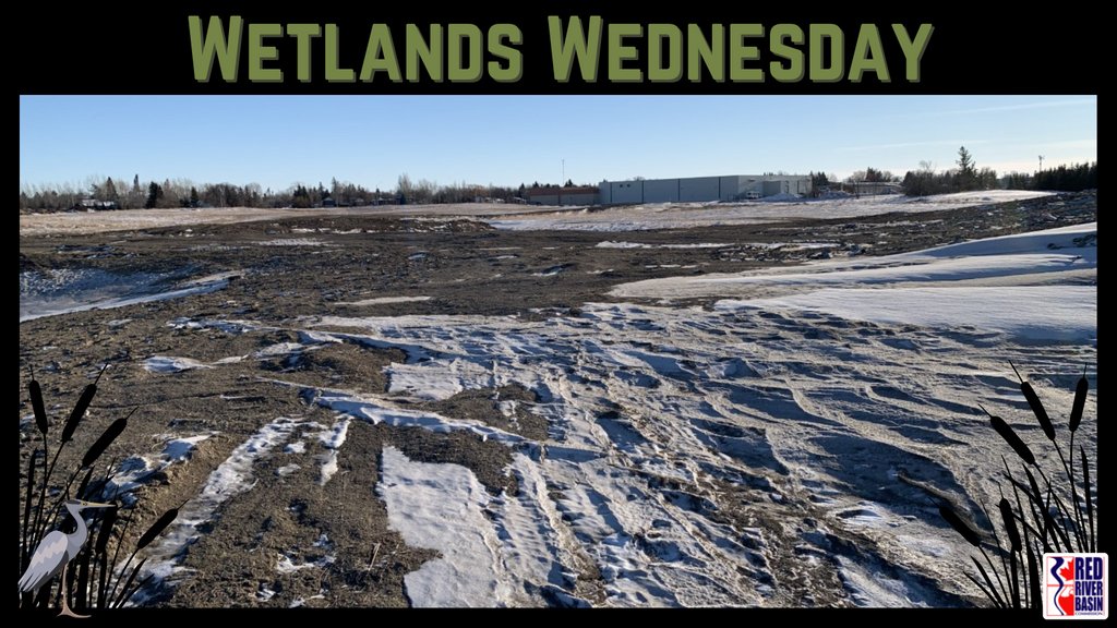 Red River Basin Commission tweet media