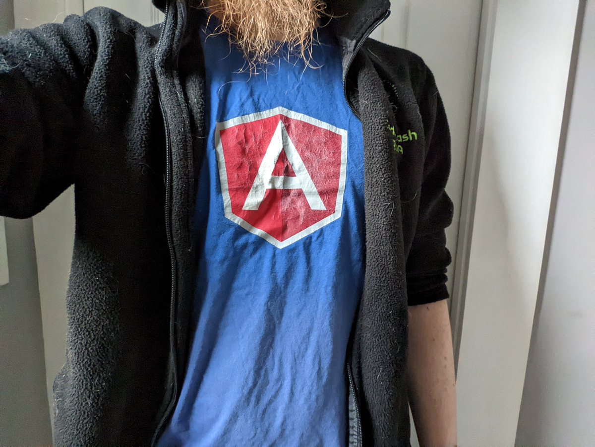 😭 It's hard to understate just how much AngularJS impacted my career. Sad to see it go. Wearing my OG AngularJS shirt in memory.