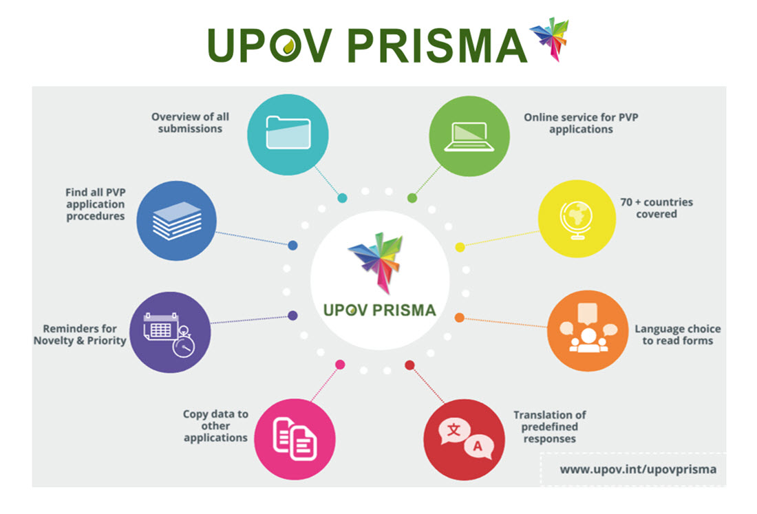 UPOV on Twitter "Did you know that you can use UPOVPRISMA 💻 the online application service to