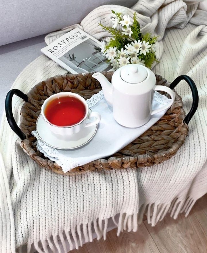 عانقوا الشتاء ونسماته بكوب شاي  دافىء💛
                              🍂مساء الخير🍂
