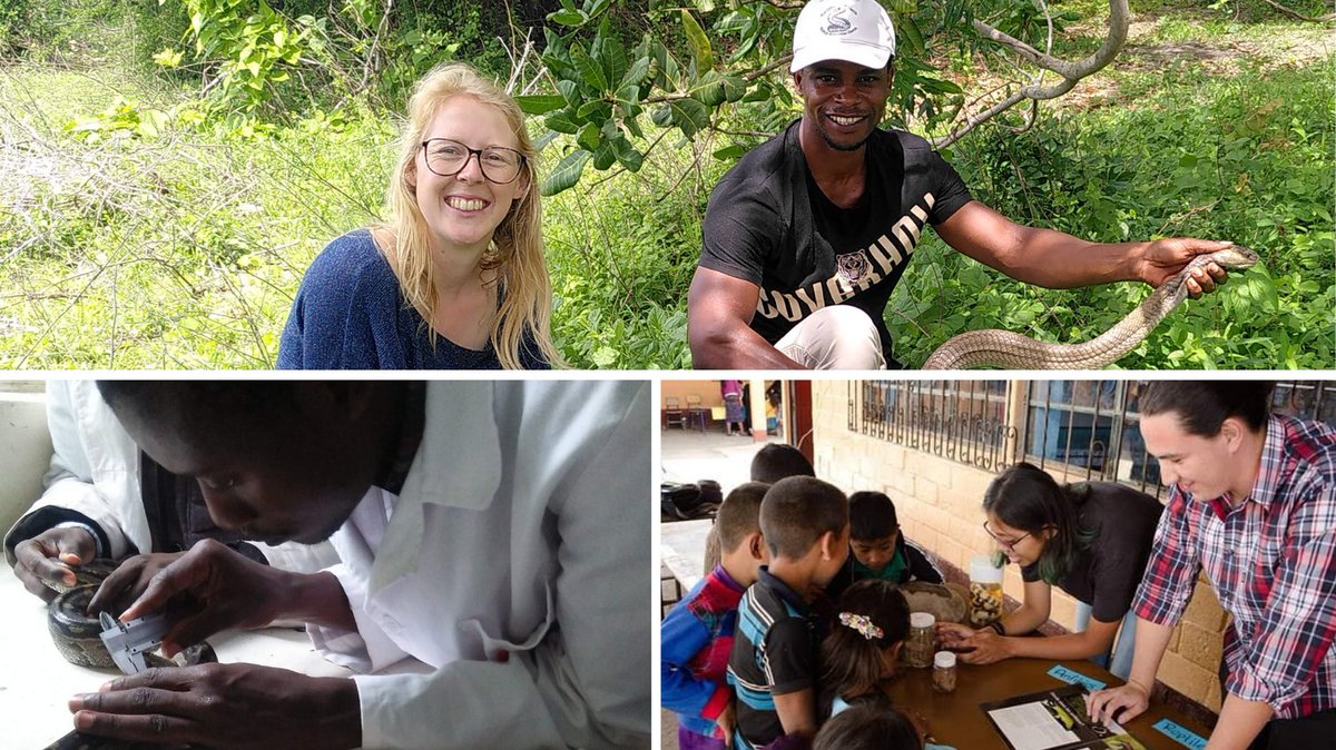 Save The Snakes tweet media