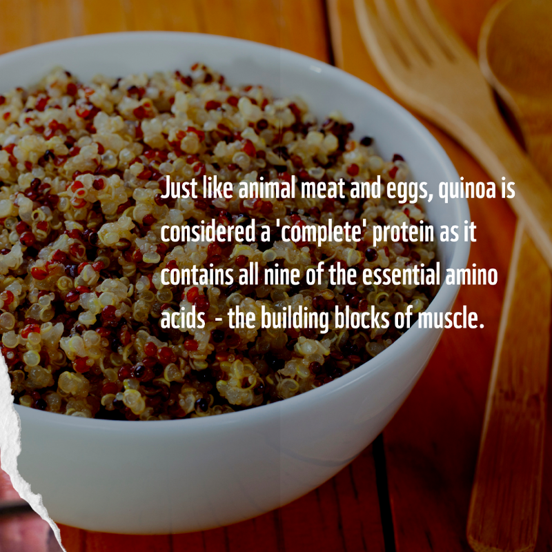 WWF's tweet photo. Our climate crisis is a meaty issue!

Worried about not getting enough protein?  Quinoa, just like meat, is a complete protein, containing all 9 essential amino acids!  

Visit our website for planet-friendly quinoa recipe inspiration: https://t.co/2VMjH4Ae5c 
#PlanetBasedDiet