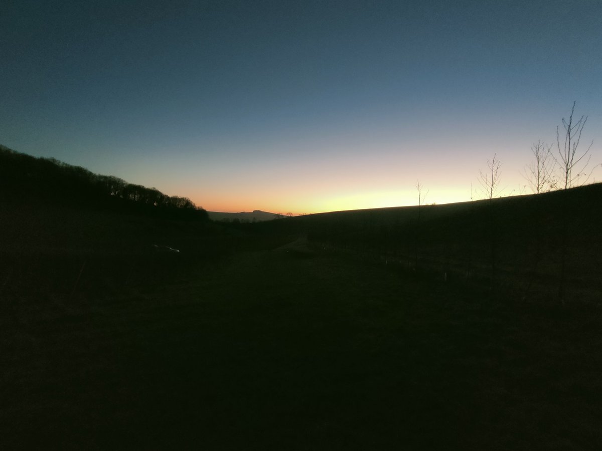 Time to call it a day.#vineyard #sparklingwine