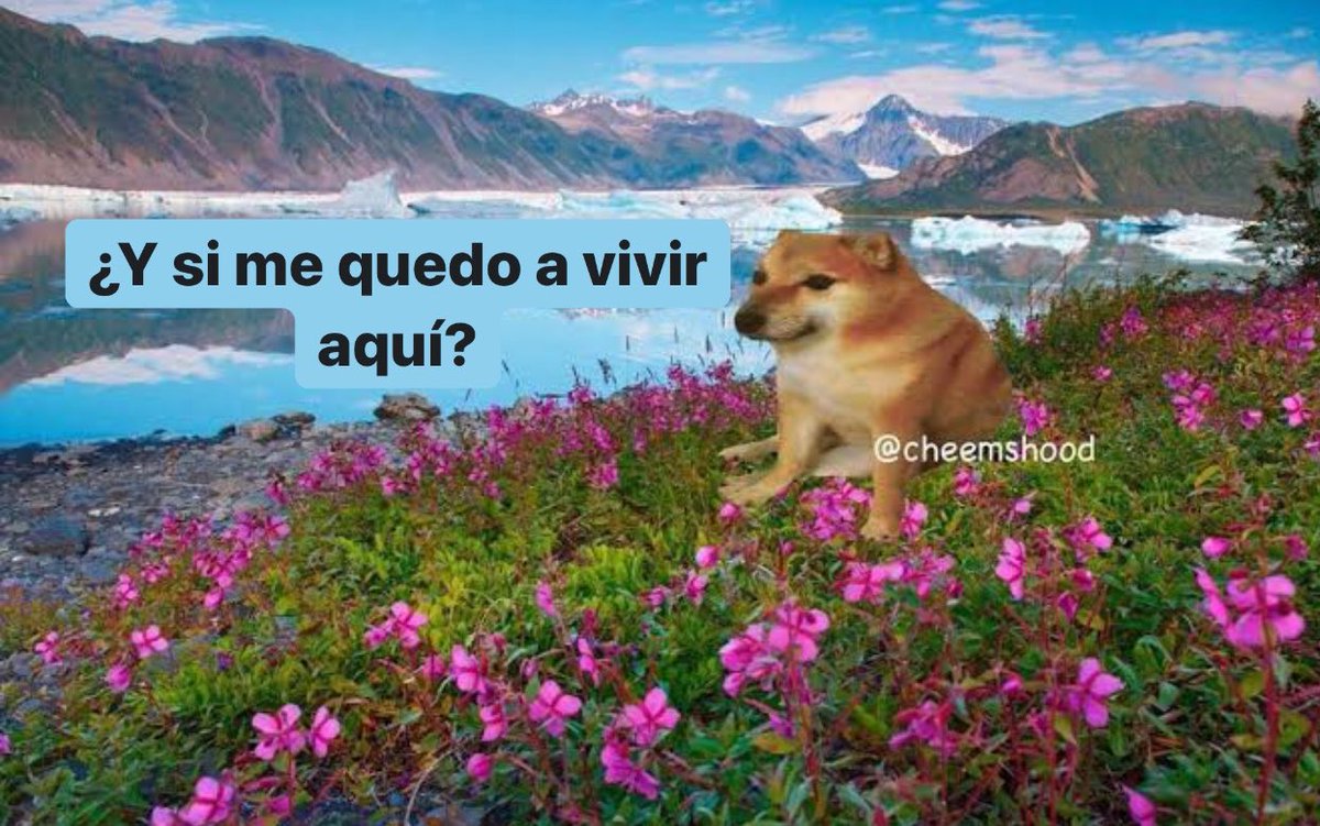 Yo, cada vez que viajo: