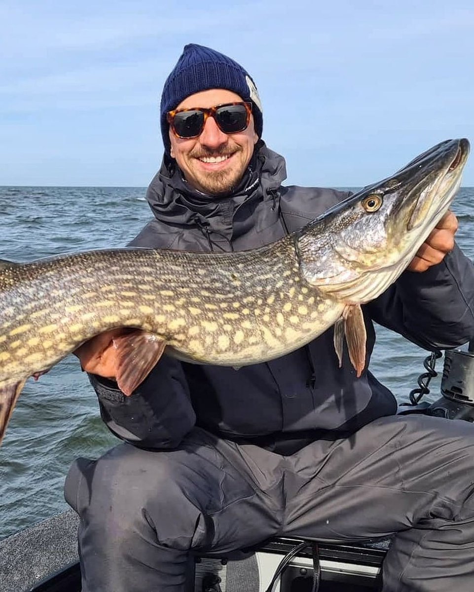 433's tweet image. Ever seen a lion catch a fish? Now you have. 🎣