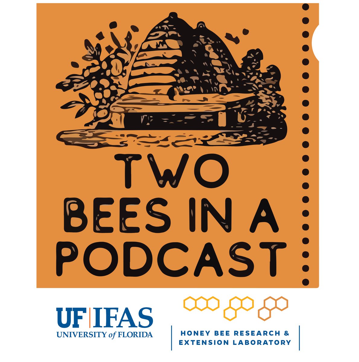 UFhoneybeelab's tweet photo. In today’s episode we are joined by Kelsey Graham to discuss extreme weather impacts on wild bee populations. Then Jamie and Amy discuss queen rearing. We end with Q&amp;A. To listen, visit our website! #UFHoneyBeeLab #UFbugs #UFbees #UFHoneyBee https://t.co/9QMCh6OmVz
