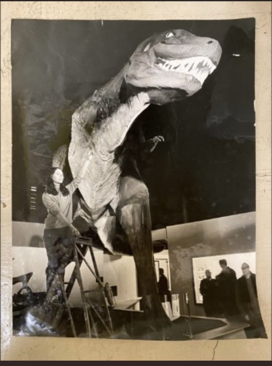 I had such an amazing start to my working day and it involved a picture of this dinosaur from the @BM_AG archives. My earliest childhood memory is of visiting the museum in the early 90’s and I always remembered this dinosaur, the scale of it and where it sat in the museum 🧵