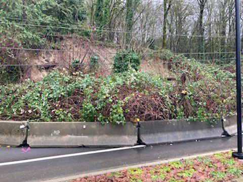 Eastside Fire & Rescue tweet media