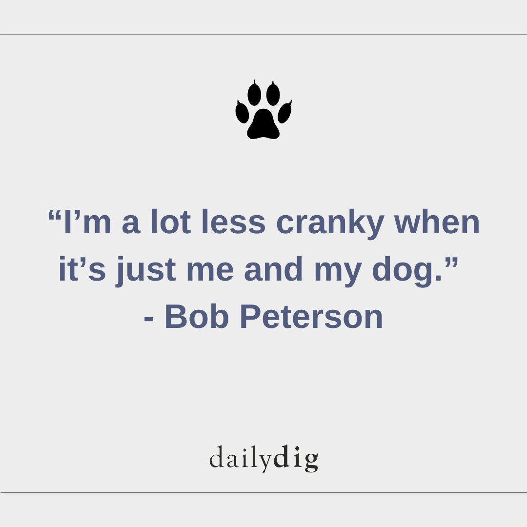 dailydigdogs's tweet image. 🐕 dailydigdogs.com