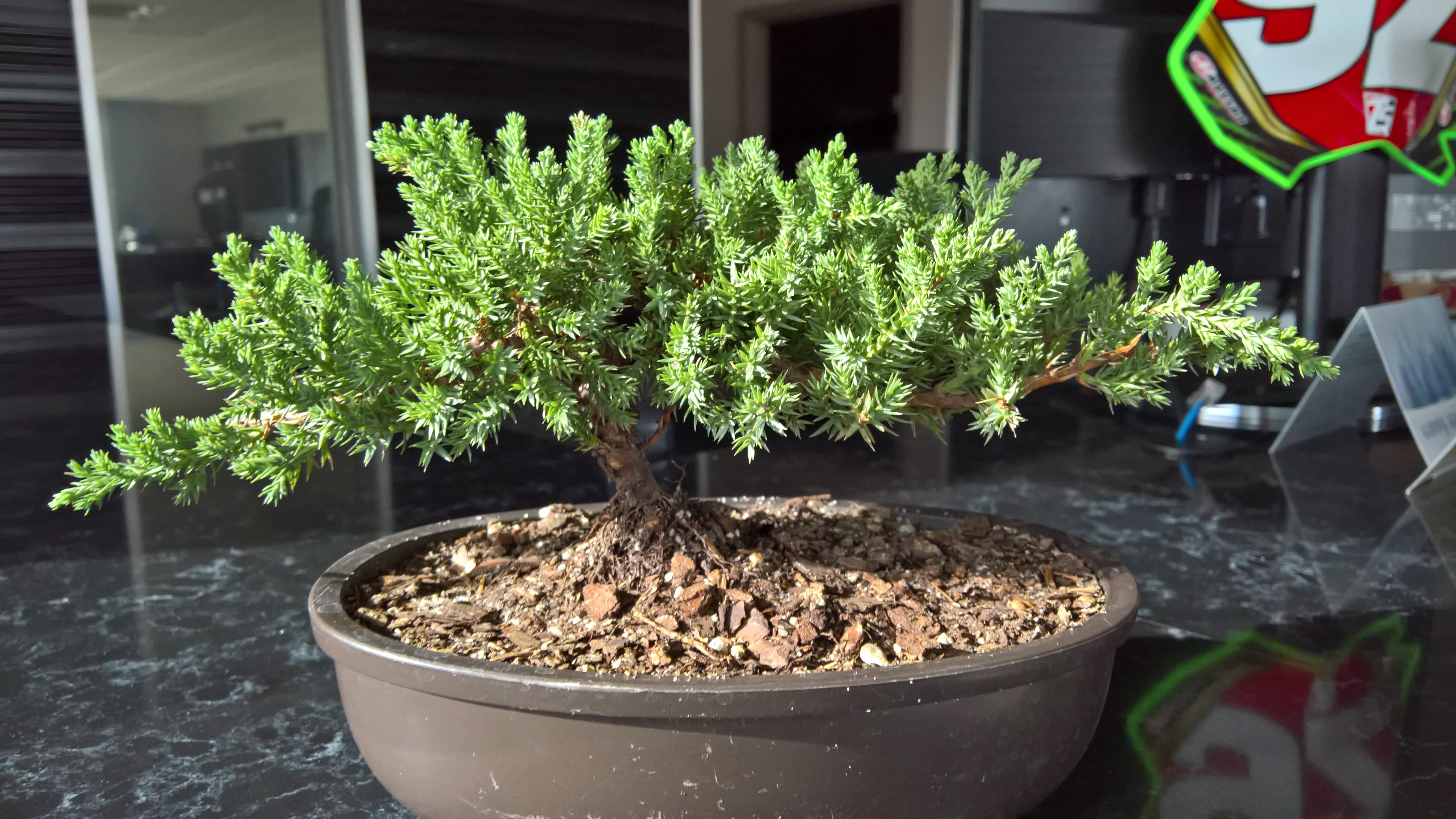 Maxxas Motorsports (MaxxasMoto) / Twitter