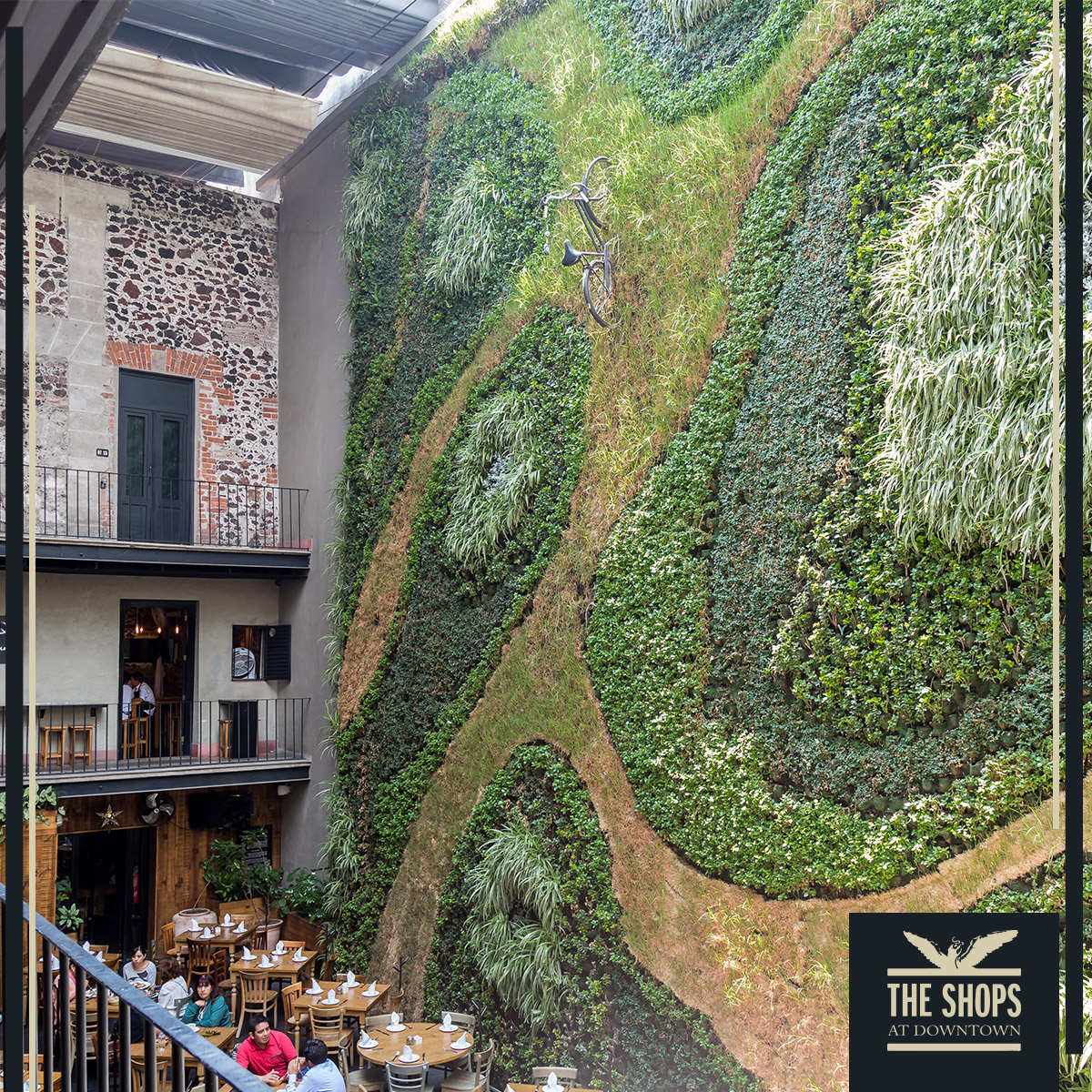 Este miércoles te esperamos en #TheShopsAtDowntown 🍃⁣
⁣
This Wednesday we are waiting for you at The Shops At Downtown