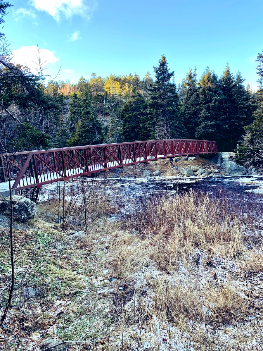 KimMichelau's tweet image. Enjoying the ☀️ @ #Manuelsriver #NL #Alertlevel4 #Winter