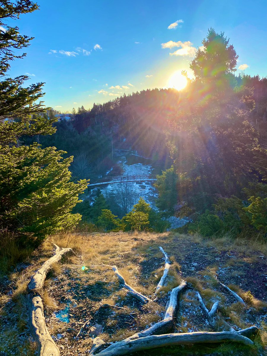 KimMichelau's tweet image. Enjoying the ☀️ @ #Manuelsriver #NL #Alertlevel4 #Winter