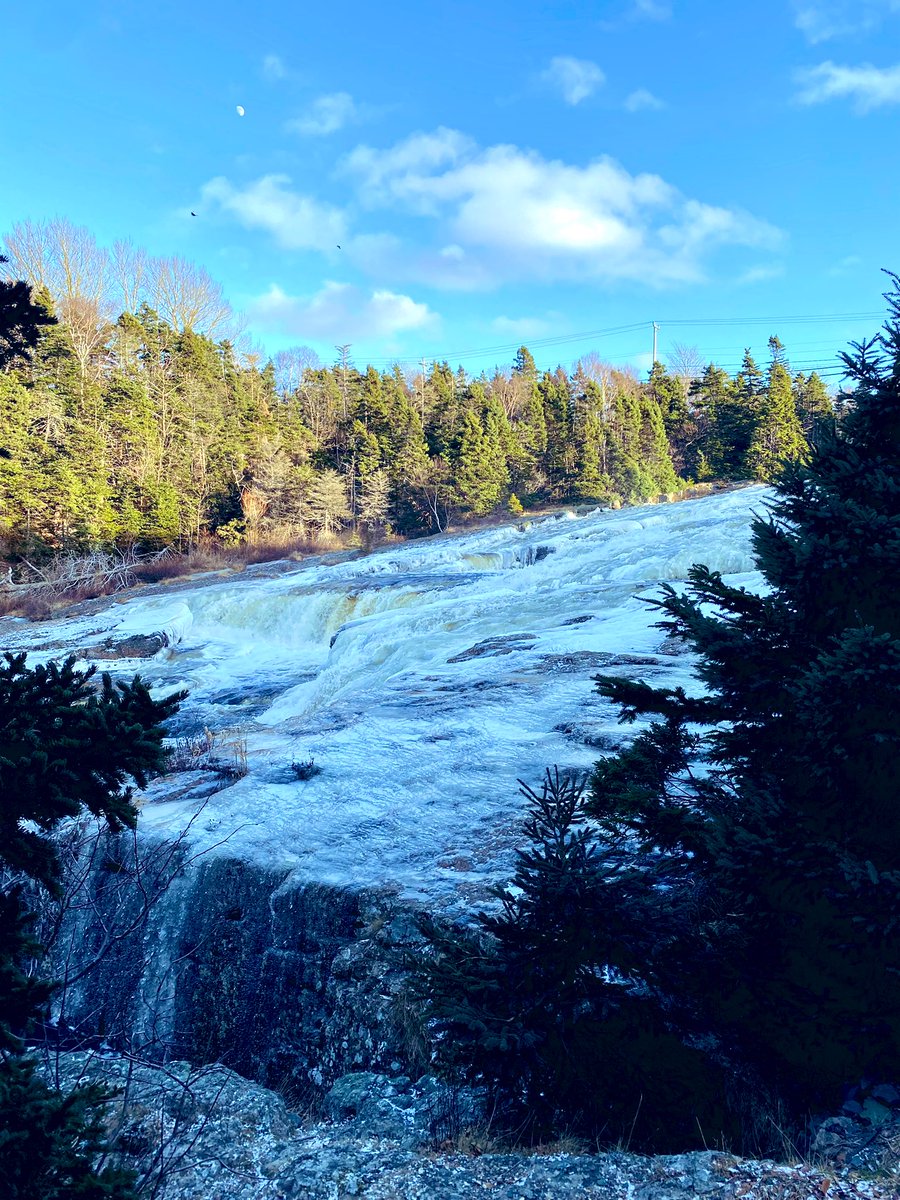KimMichelau's tweet image. Enjoying the ☀️ @ #Manuelsriver #NL #Alertlevel4 #Winter