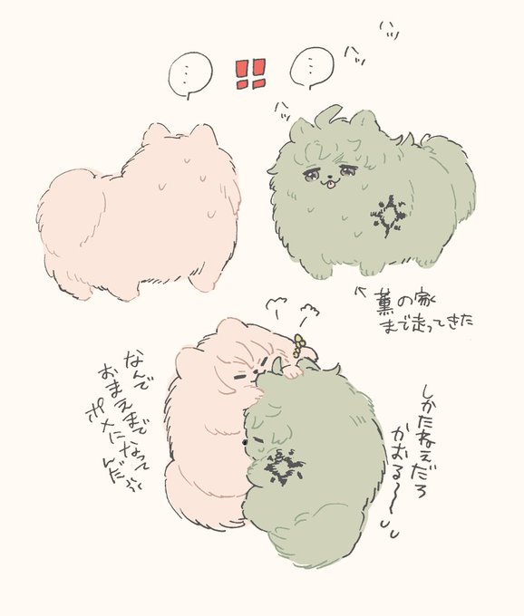 ジョチェポメガバース🐯🐶🐶🌸この後1日めちゃくちゃ遊んで寝てご飯はカーラが何とかしてくれた 